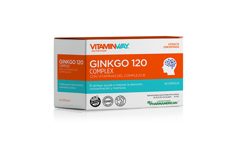 ginkgo_120